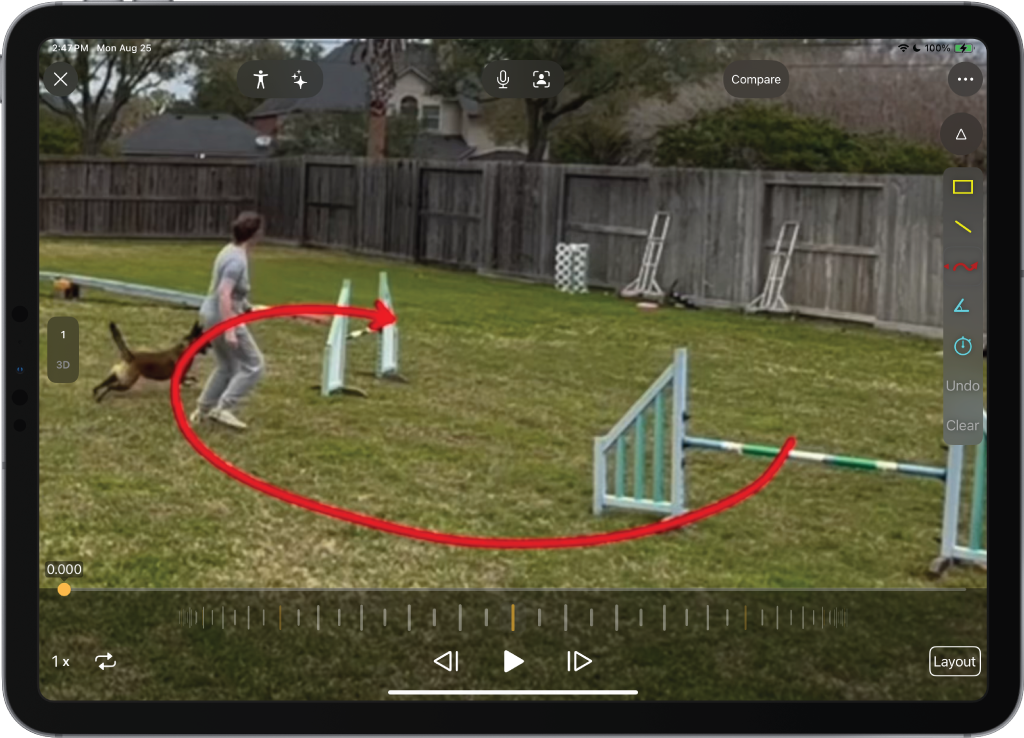 Bad Dog Agility 1024x738