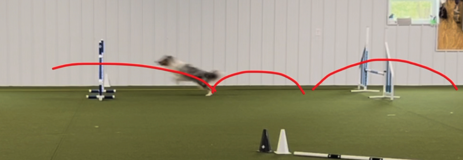 Bad Dog Agility 1546x536_1